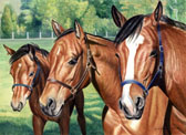Mares and Foals, Equine Art - The Nannies